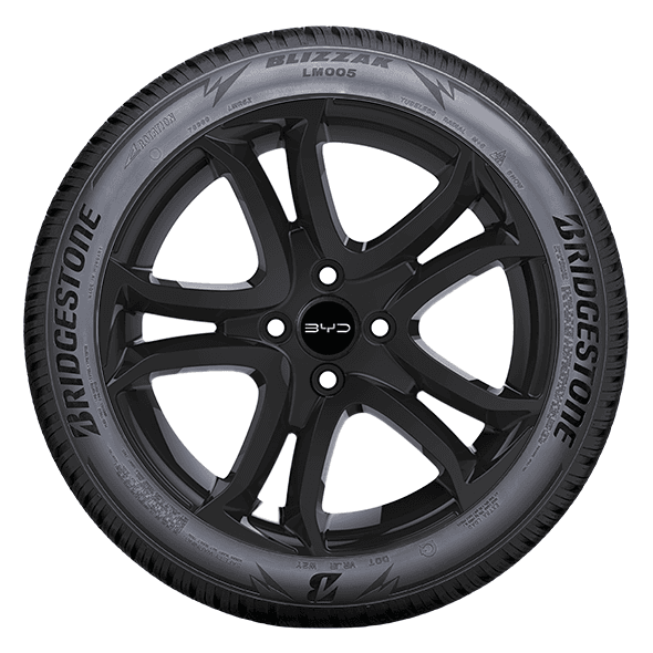 Bridgestone BLIZZAK LM005