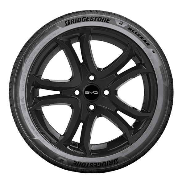 Bridgestone BLIZZAK 6