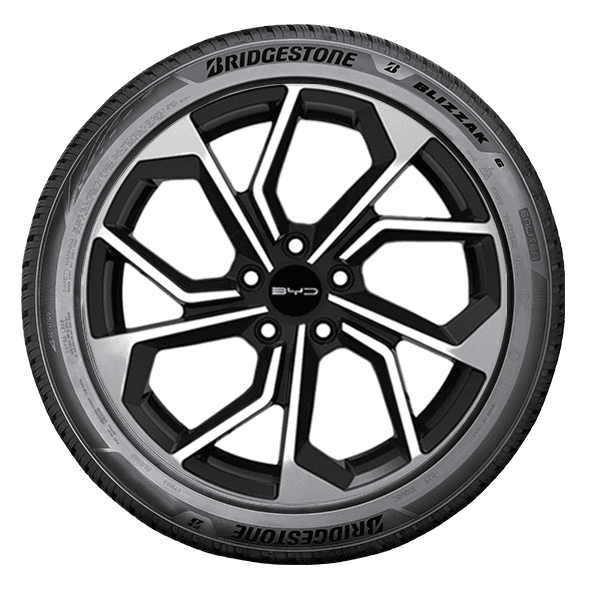 Bridgestone BLIZZAK 6