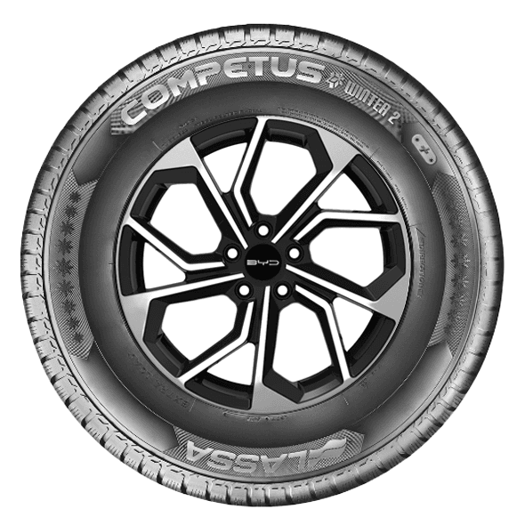 Lassa Competus Winter 2 +