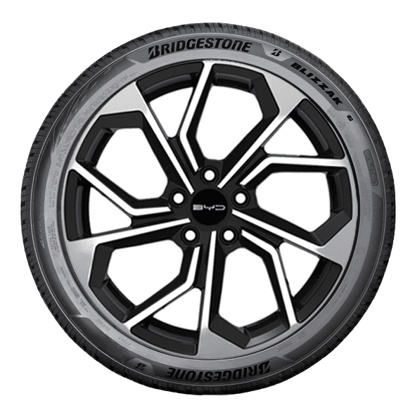 Bridgestone BLIZZAK 6