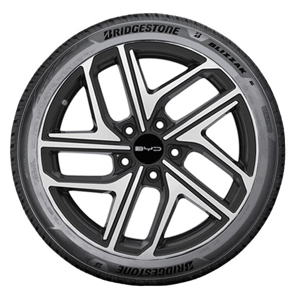 Bridgestone BLIZZAK 6