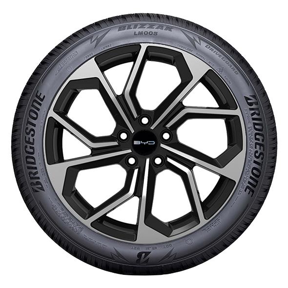Bridgestone BLIZZAK LM005