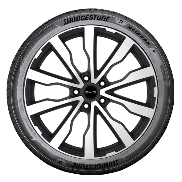 Bridgestone BLIZZAK 6