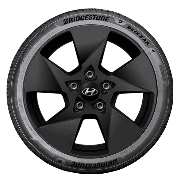 Bridgestone BLIZZAK 6