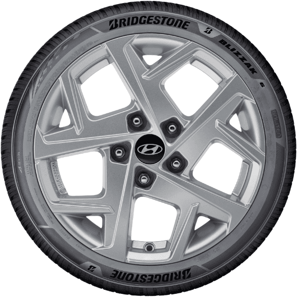 Bridgestone BLIZZAK 6