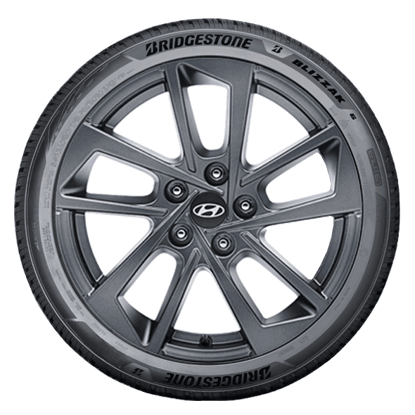 Bridgestone BLIZZAK 6