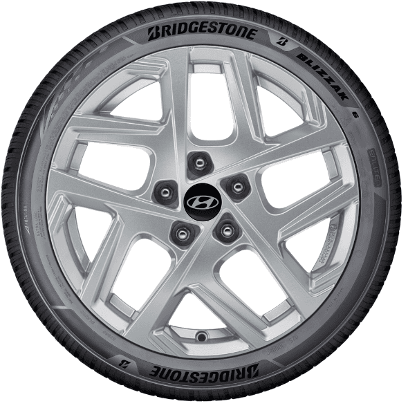 Bridgestone BLIZZAK 6