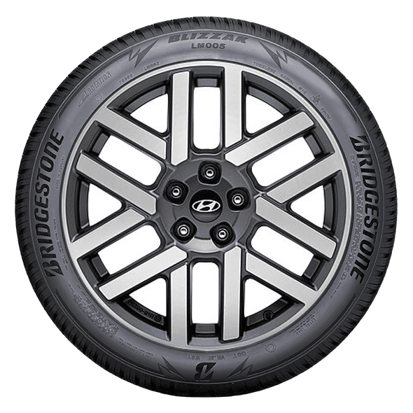 Bridgestone BLIZZAK LM005
