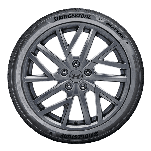 Bridgestone BLIZZAK 6