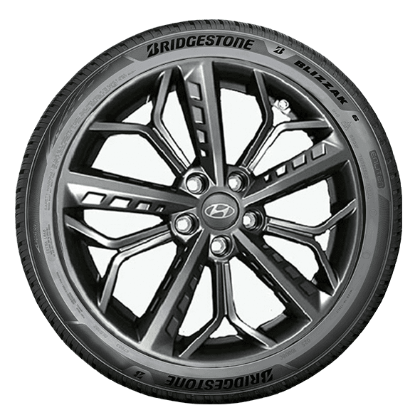Bridgestone BLIZZAK 6