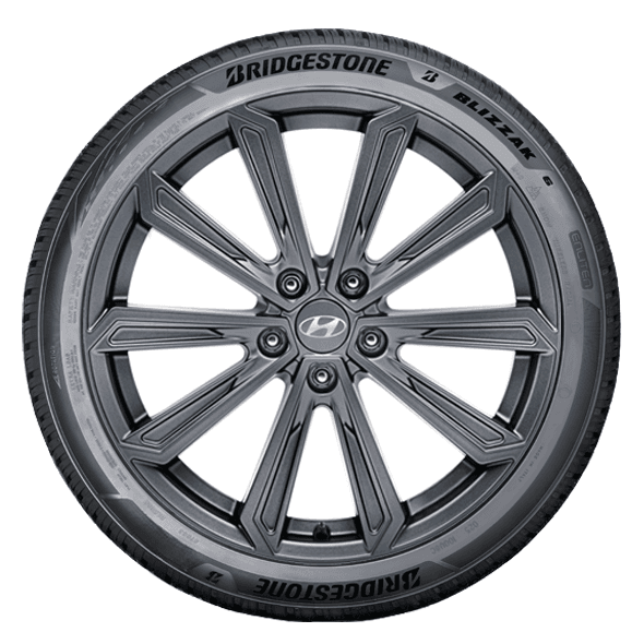 Bridgestone BLIZZAK 6