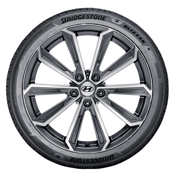 Bridgestone BLIZZAK 6