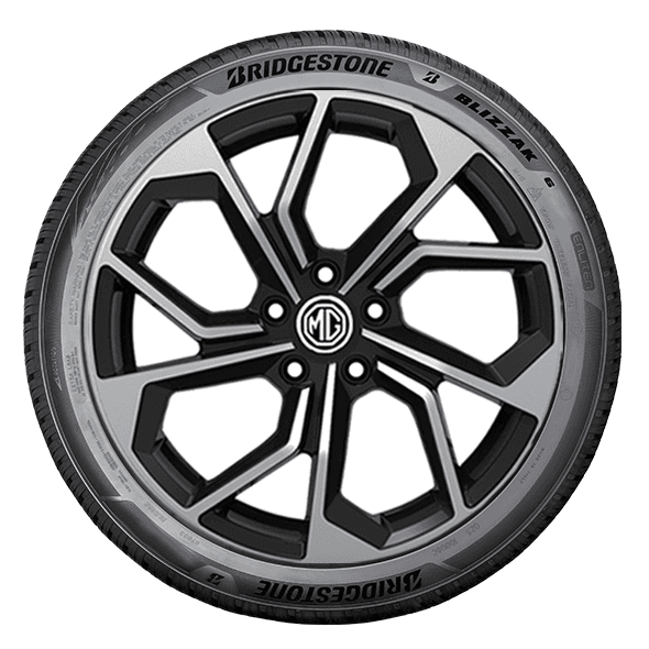 Bridgestone BLIZZAK 6