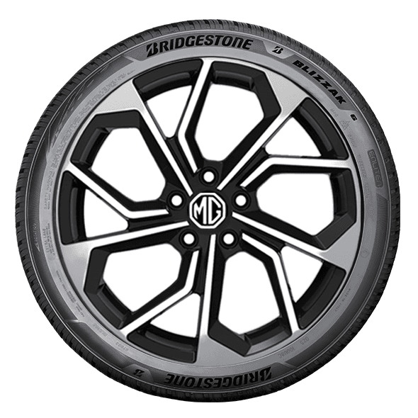 Bridgestone BLIZZAK 6