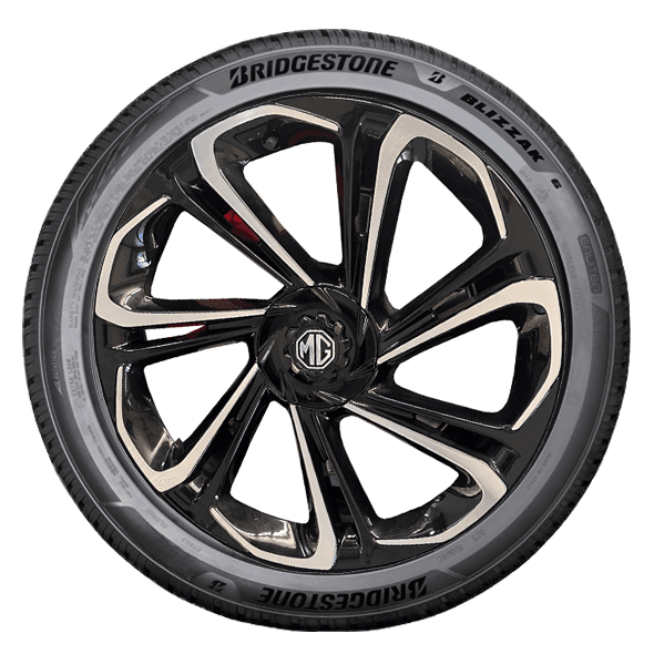 Bridgestone BLIZZAK 6