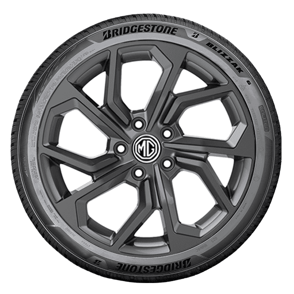 Bridgestone BLIZZAK 6