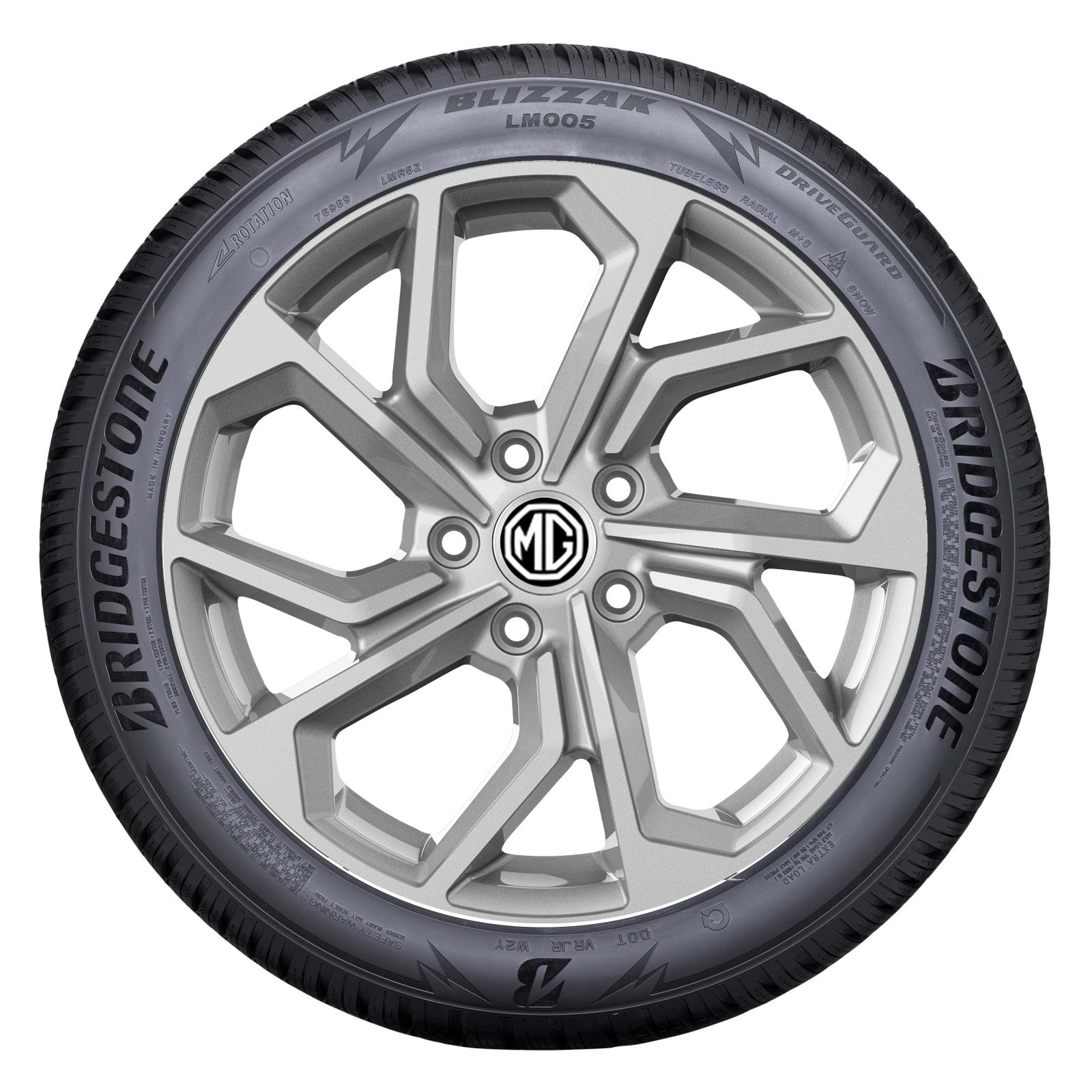Bridgestone BLIZZAK LM005