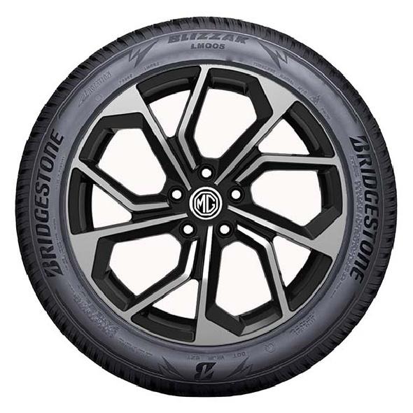 Bridgestone BLIZZAK LM005