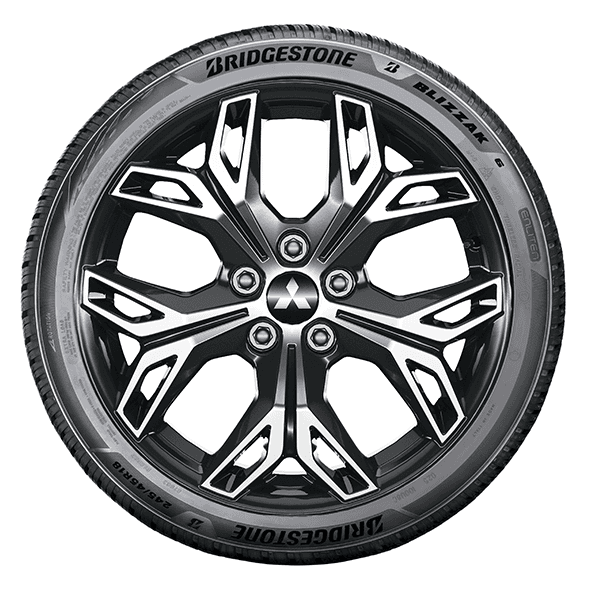 Bridgestone BLIZZAK 6