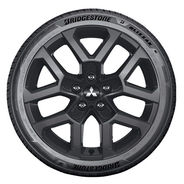 Bridgestone BLIZZAK 6