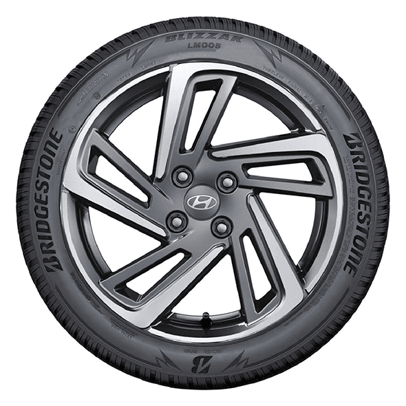 Bridgestone BLIZZAK LM005