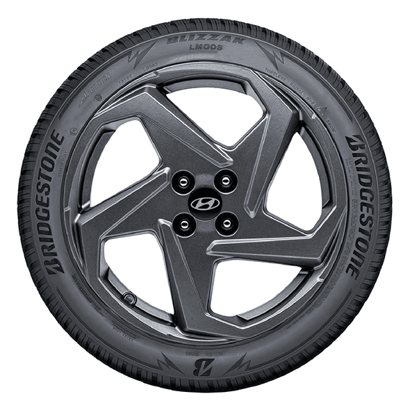 Bridgestone BLIZZAK LM005