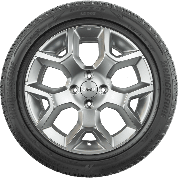 Bridgestone BLIZZAK 6