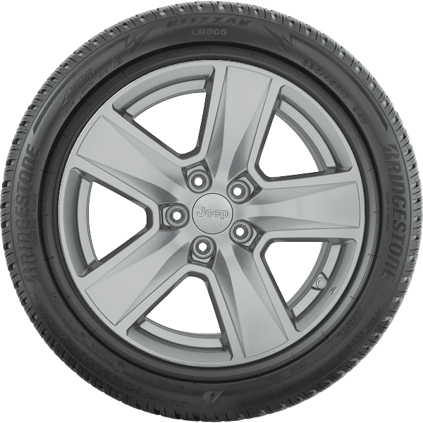 Bridgestone BLIZZAK 6