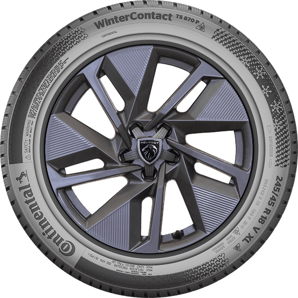 Continental WinterContact TS 870