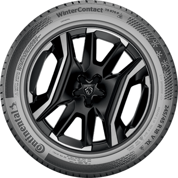 Continental WinterContact TS 870