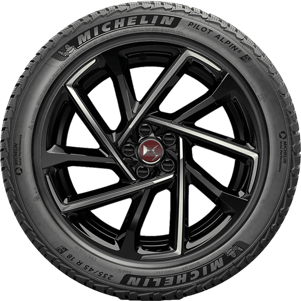 Michelin Pilot Alpin 5