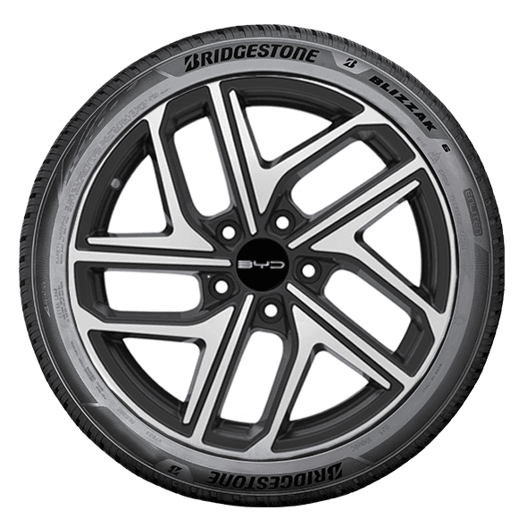 Bridgestone BLIZZAK 6 Bridgestone BLIZZAK 6