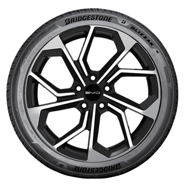 Bridgestone BLIZZAK 6 Bridgestone BLIZZAK 6