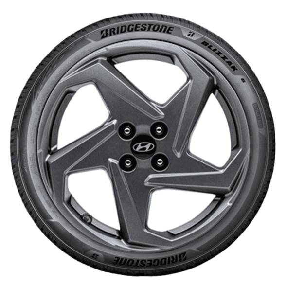 Bridgestone BLIZZAK 6 Bridgestone BLIZZAK 6