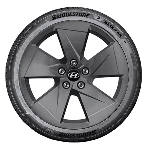 Bridgestone BLIZZAK 6 Bridgestone BLIZZAK 6