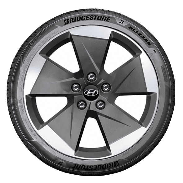 Bridgestone BLIZZAK 6 Bridgestone BLIZZAK 6