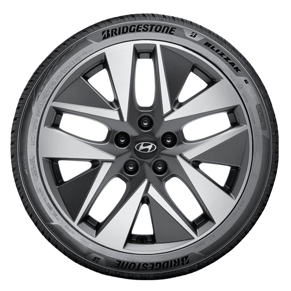 Bridgestone BLIZZAK 6 Bridgestone BLIZZAK 6