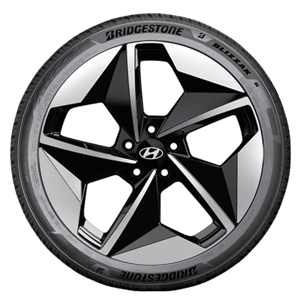 Bridgestone BLIZZAK 6 Bridgestone BLIZZAK 6