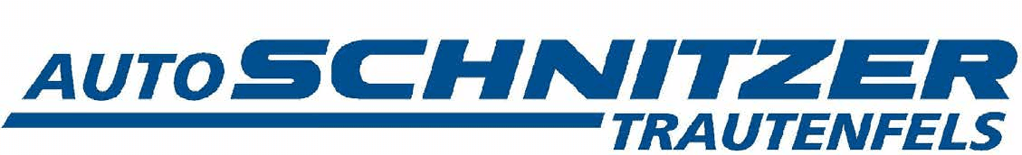 Schnitzer GesmbH