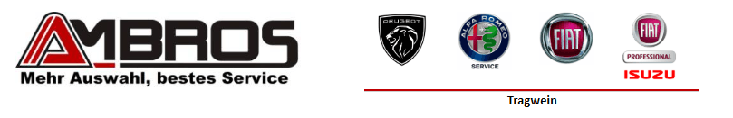 Ambros Automobile GmbH